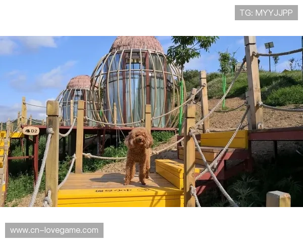 产业链上下游在本季度深化云端耦合 提升了体育营销体系在全网范围的流转效率